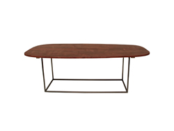 Staal® Dinertable Oval incl. Wooden top