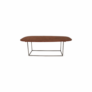Staal® Dinertable Oval incl. Wooden top